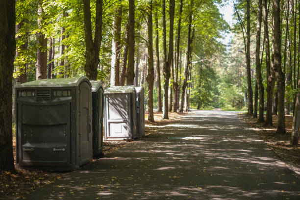 Best Porta potty rental for parties  in Millers Creek, NC